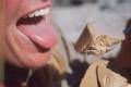 baikal_17_heather_s_catfood_surprise.jpg