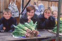 baikal_46_ramson.jpg