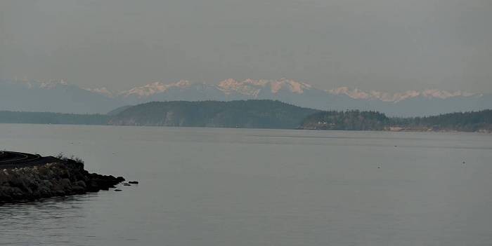 Olympic Mtns in the background